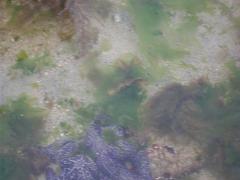 Tuesday July 12, 2011 10:27 - 100_1093 (2).JPG